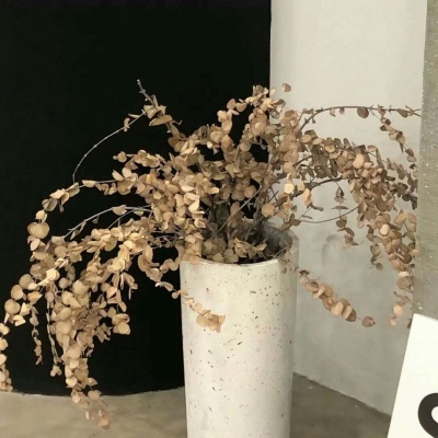 Furry插画构图解析干货Furry群